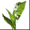 ������ 1