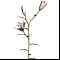 ����� 1