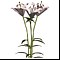 ����� ����� 3