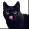 ������ ���