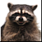 ����