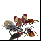 ������� ���������